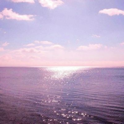 澳门2023全年免费资料大全手机app下载